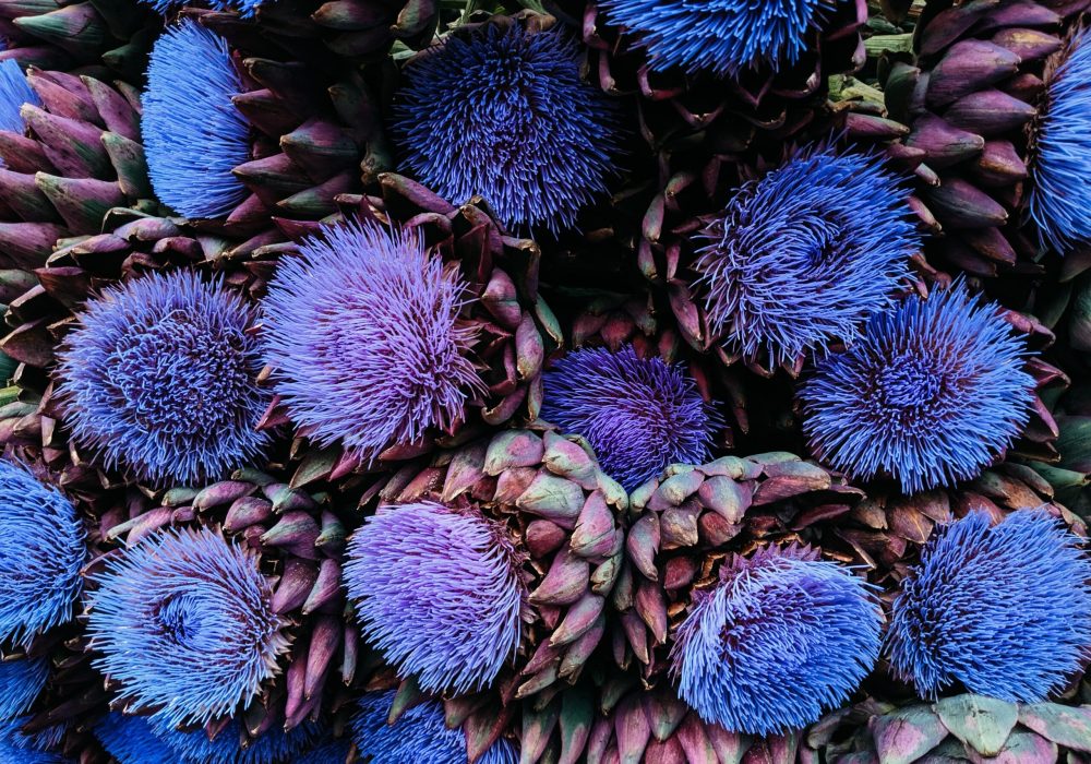 markus-winkler-MdSMlzVyCKM-unsplash