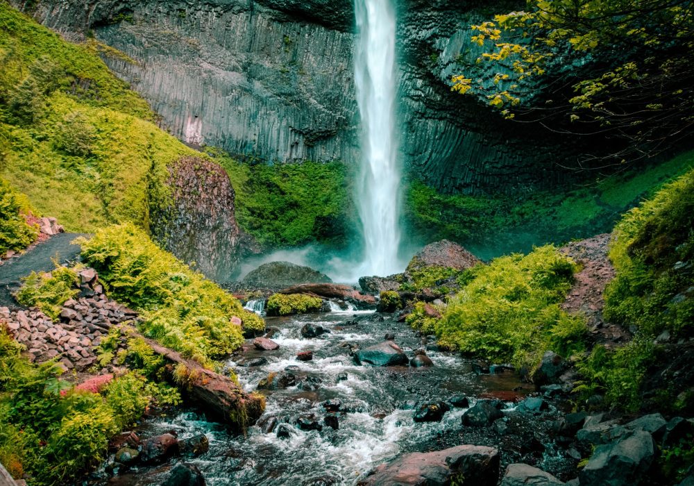 pexels-jonathan-meyer-612999